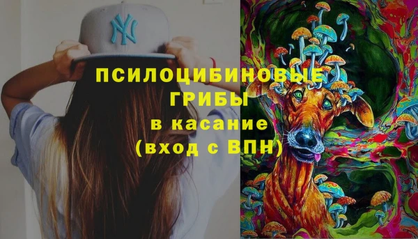 таблы Дмитриев