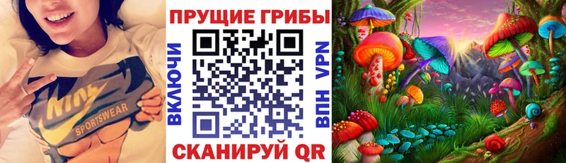 Псилоцибиновые грибы Psilocybine cubensis  купить наркотик  Сыктывкар 